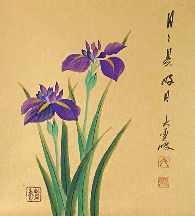 Iris Flowers