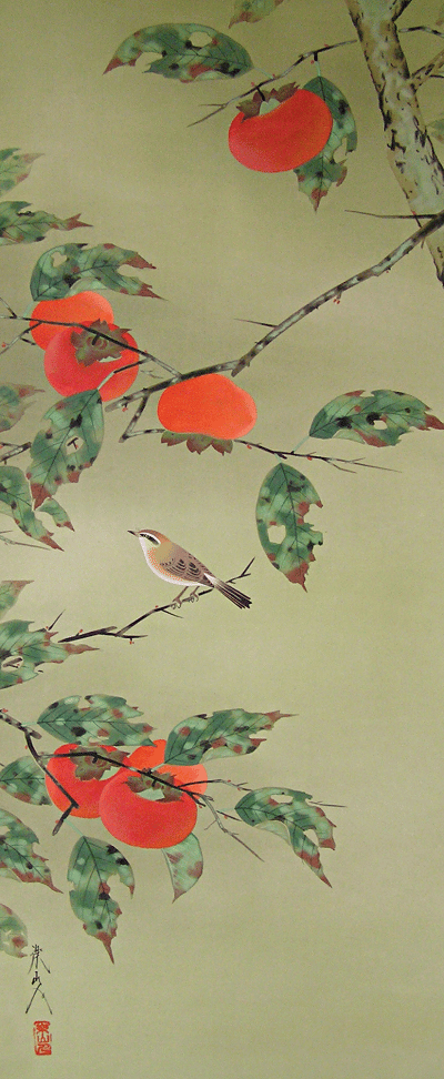Kaki Tree
