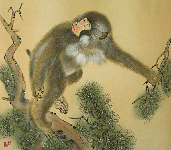 Monkey on a Branch
