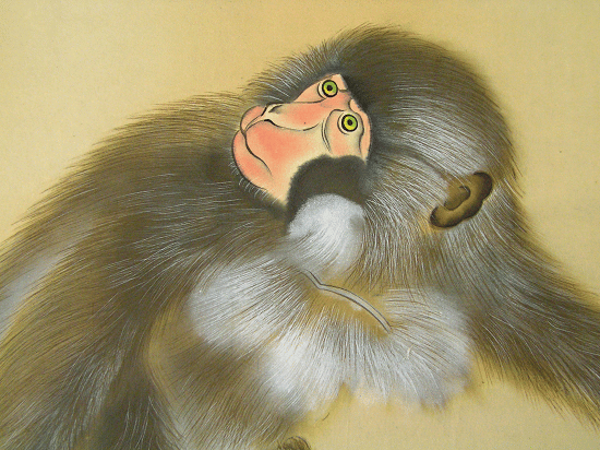 Monkey Face