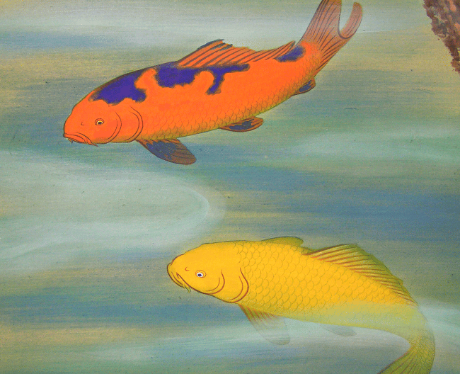 Koi Fish