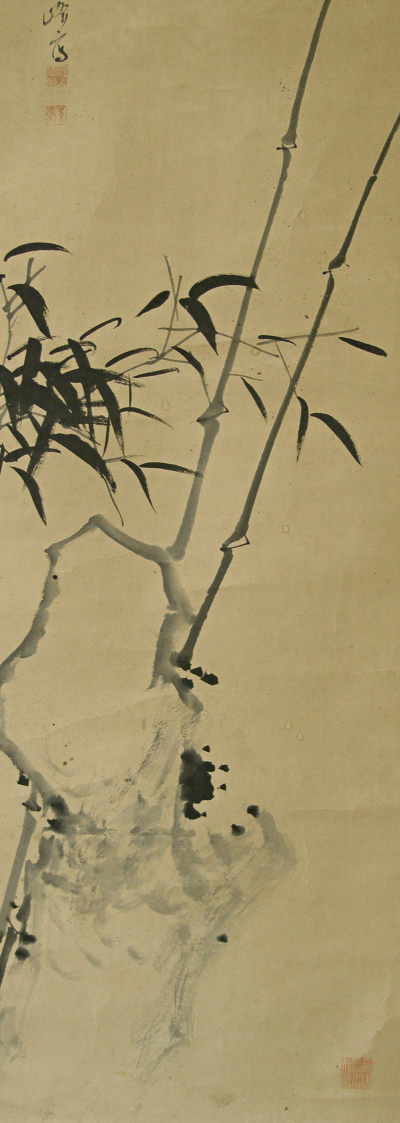 Bamboo (Sasa)