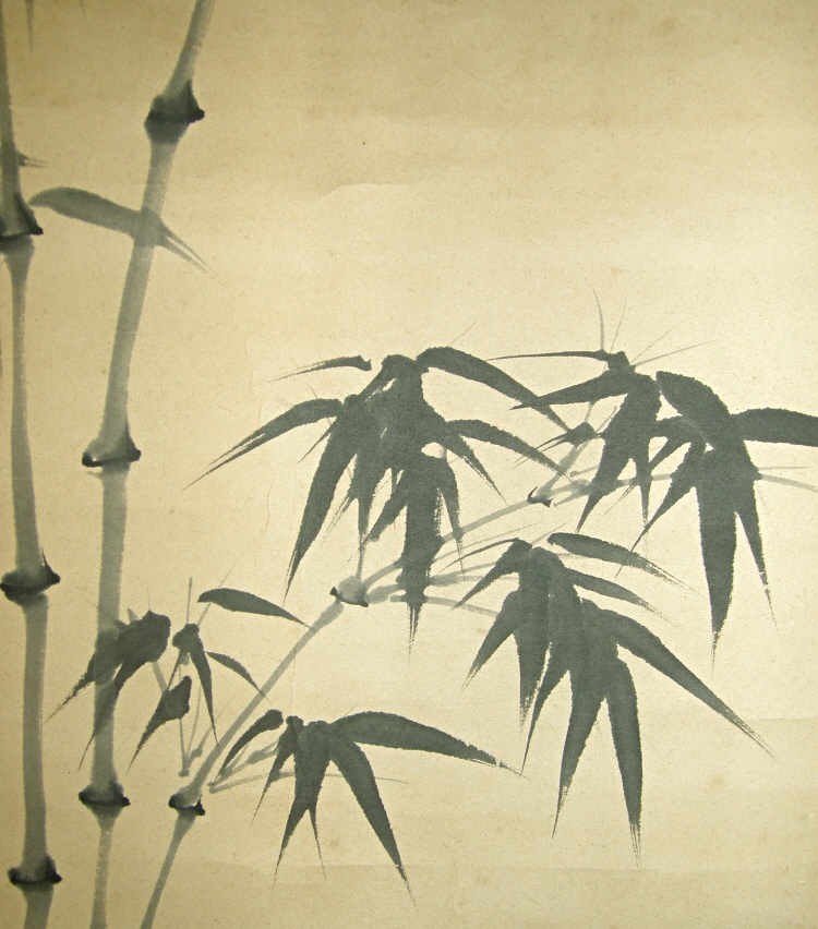Sasa (Bamboo)