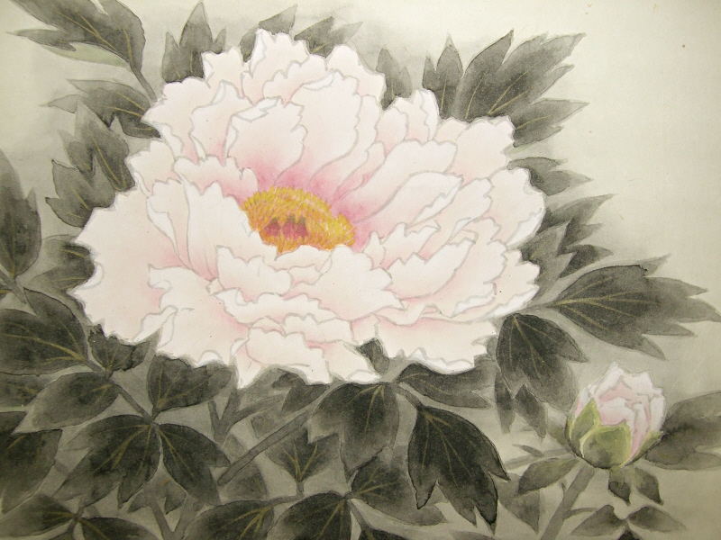 Japanese Peony Flower