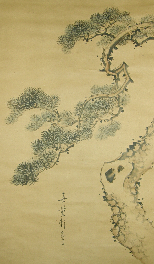 Matsu (Japanese Pine Tree)