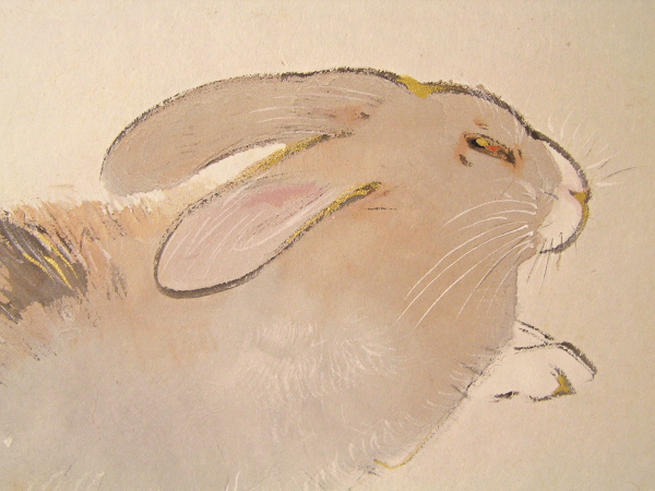 Usagi