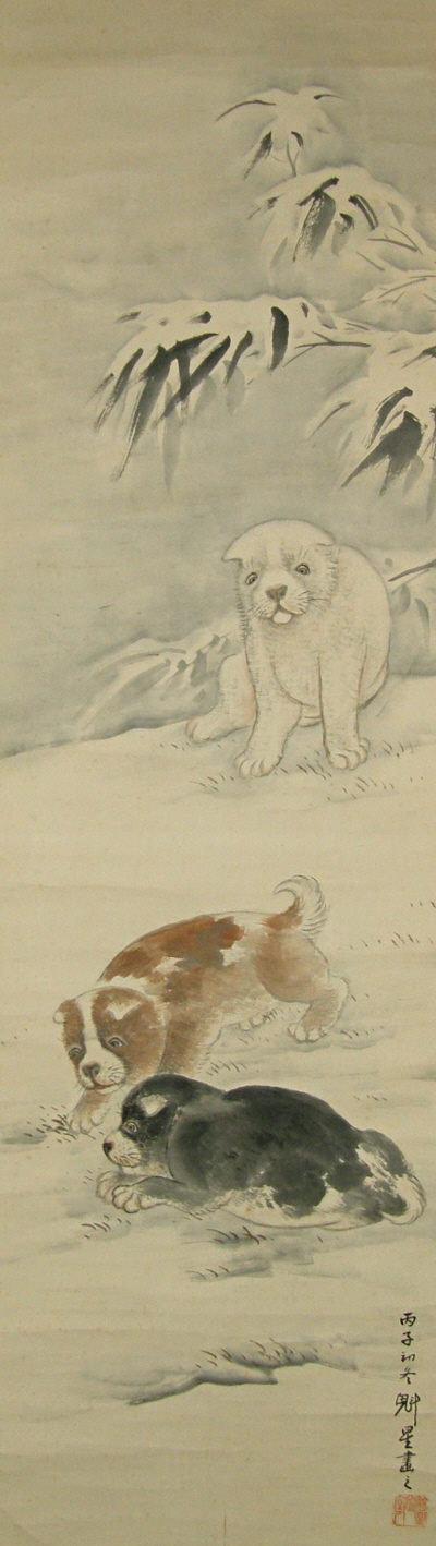 Puppy