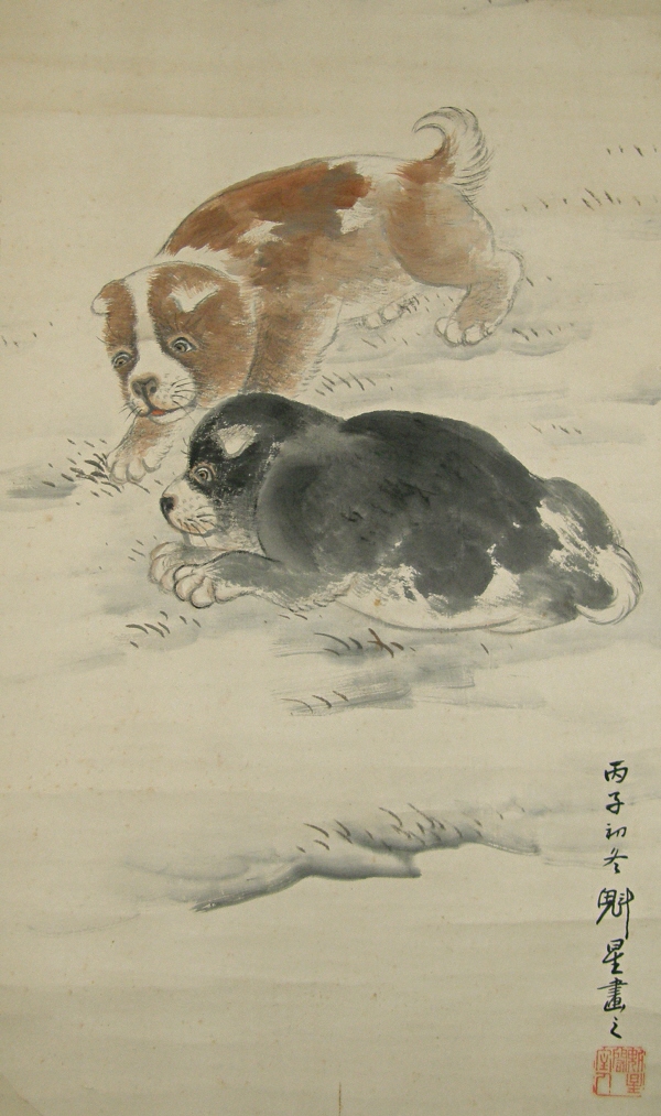 Puppies (Dogs)
