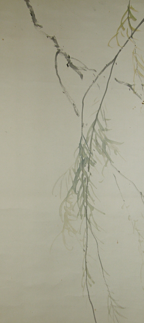 Yanagi Tree Branch (Willow)