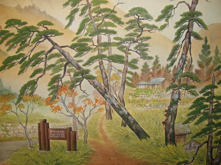 Japanese Matsu Tree
