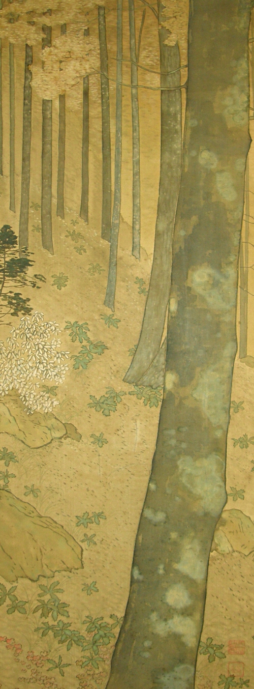 Forest