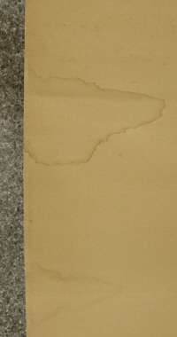 Stain by Water