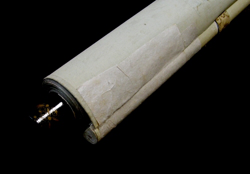 Repaired with Paper