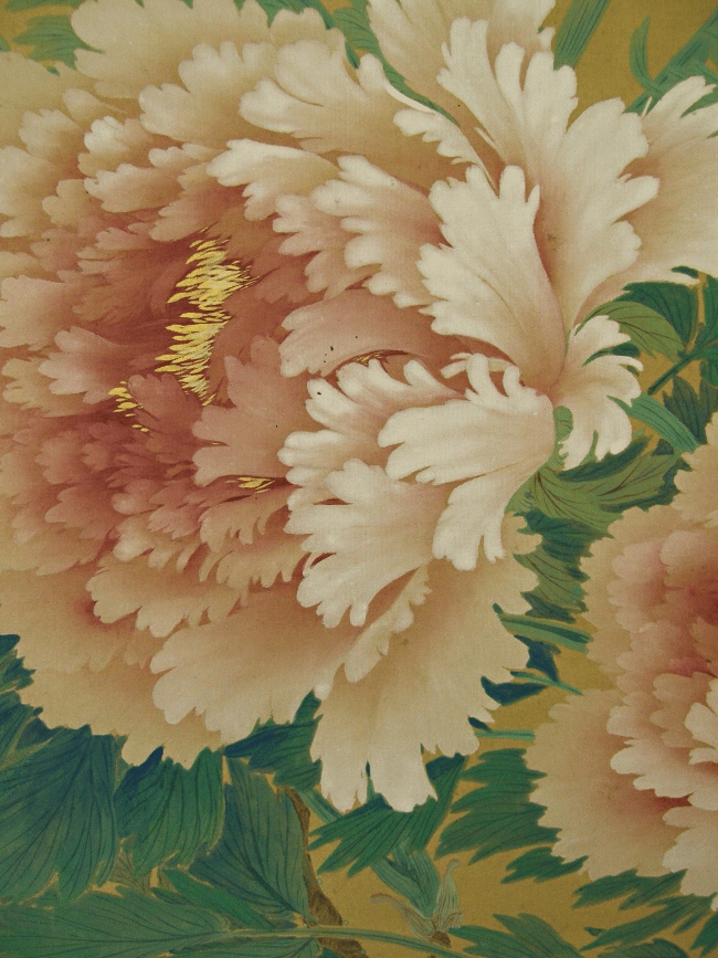Peony Flowers