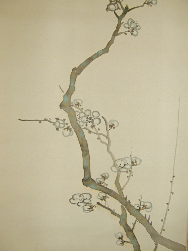Ume Flowers