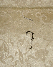 Worm-eaten holes