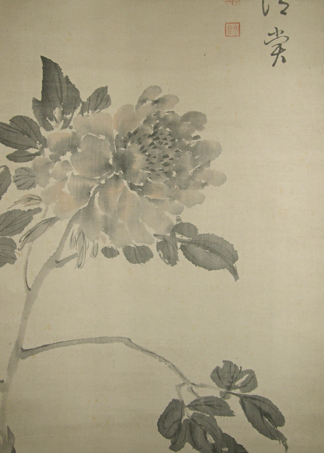 Peony Flower