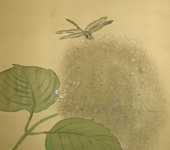 Tonbo (Dragonfly)