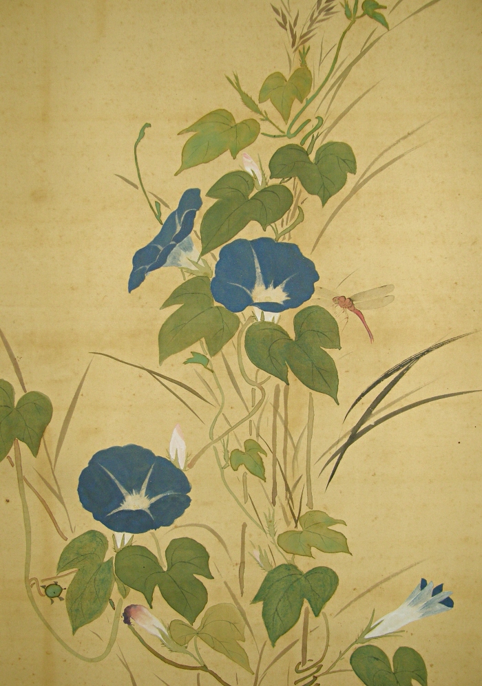 Tombo (Dragonfly)