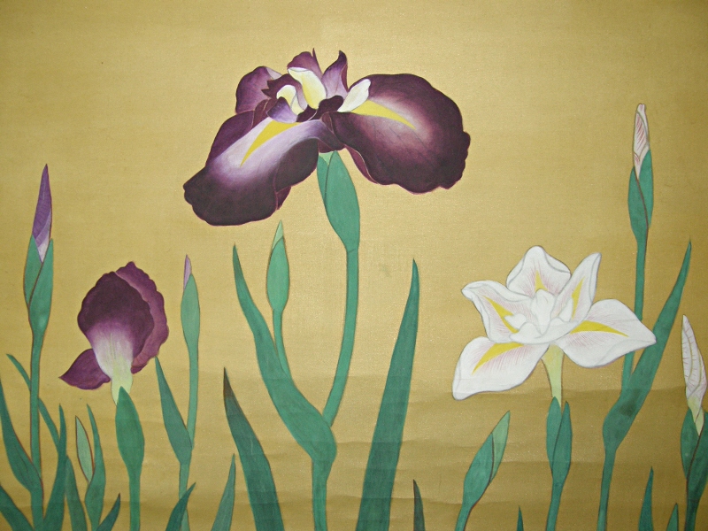 Shobu Flowers (Japanese Iris Flowers)