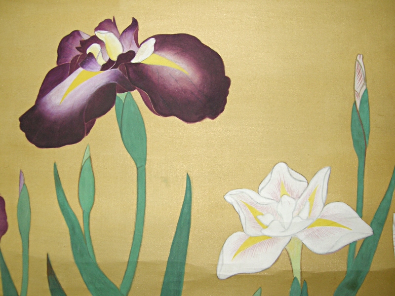 Blue Flag Flowers