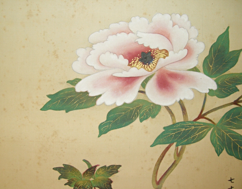 Japanese Peony Flower