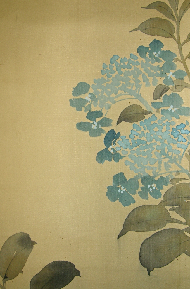 Ajisai (Hydrangea) Flowers and Leaves
