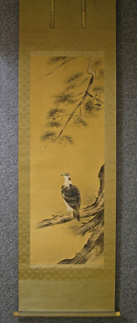Hawk on Matsu Tree