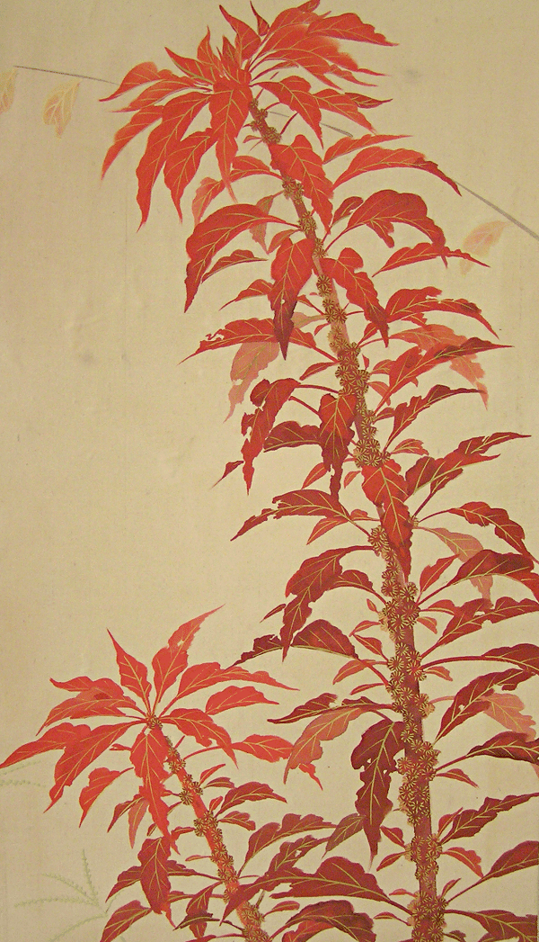 Red Plant