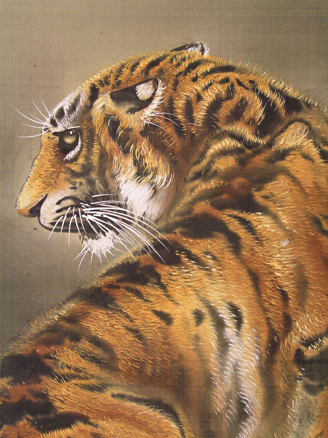 Tora