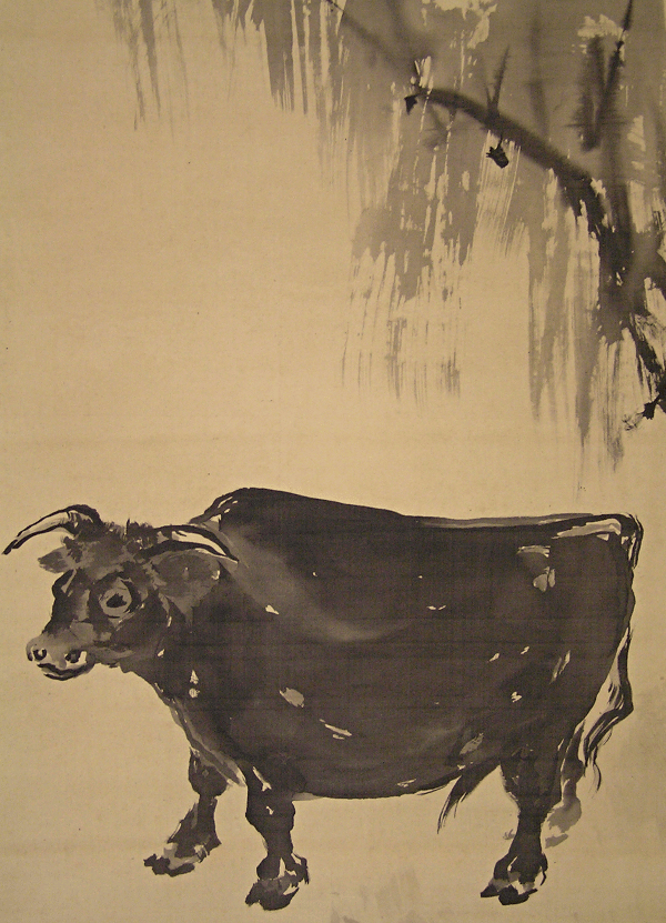 Willow and Cattle