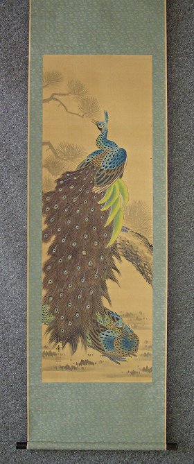 Peacock Family