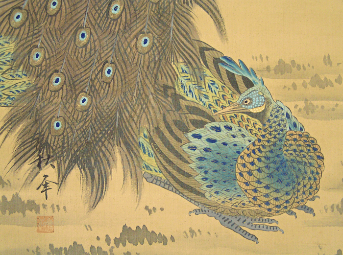 Kujaku Child
