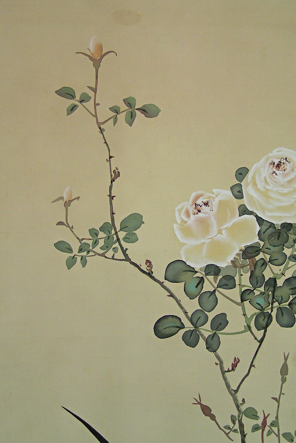 Rooster, Rose