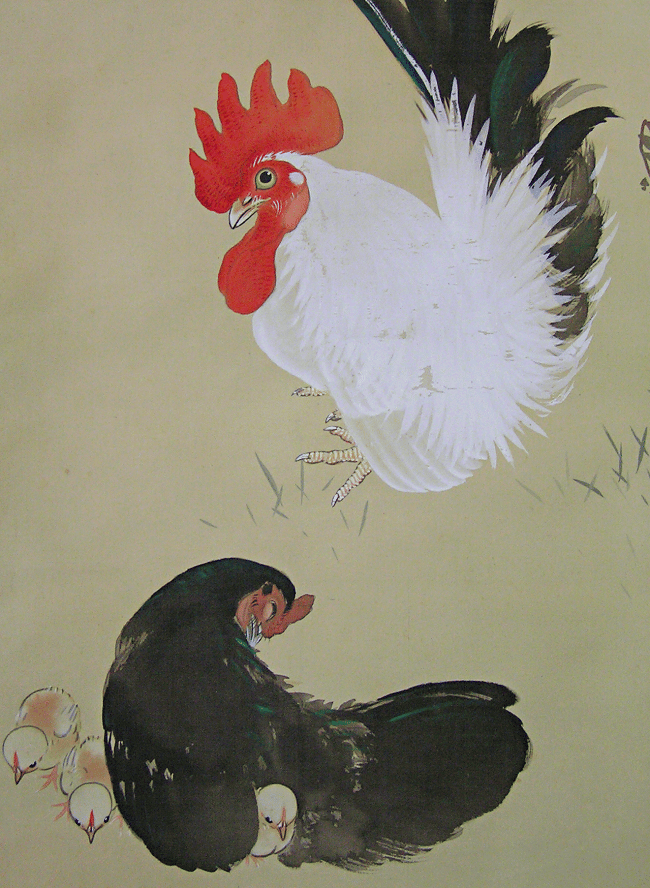 Chicken