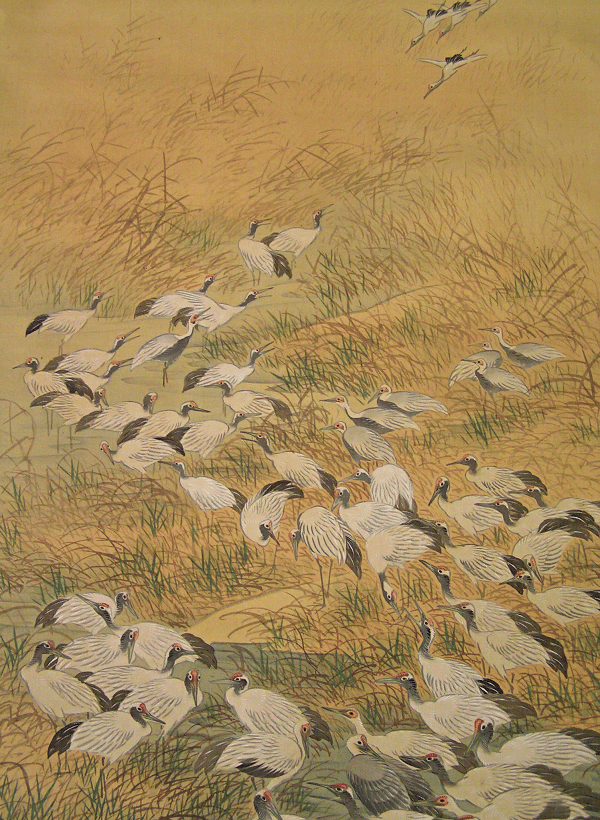 Thousands of Tsuru Birds