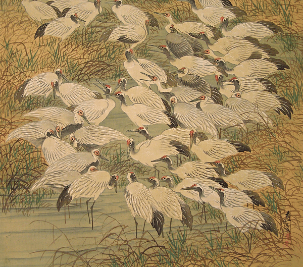 Thousands of Cranes