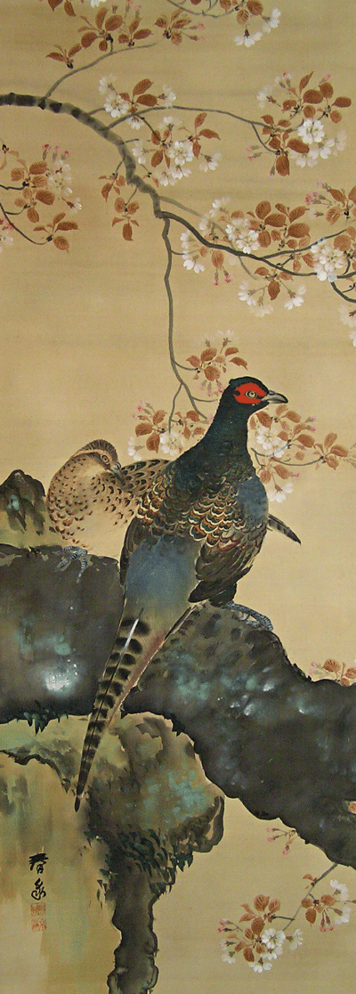 Kiji birds on Sakura Tree