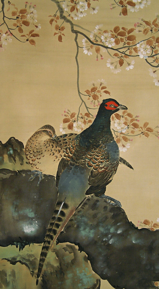 Pheasants