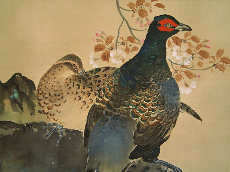 Pheasant Couple