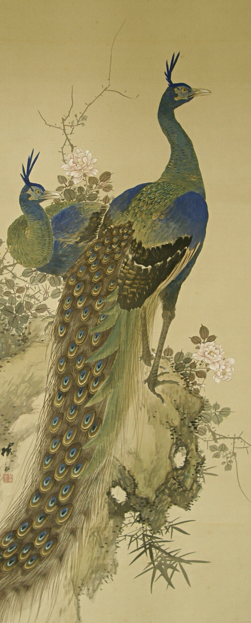 Kujaku Couple