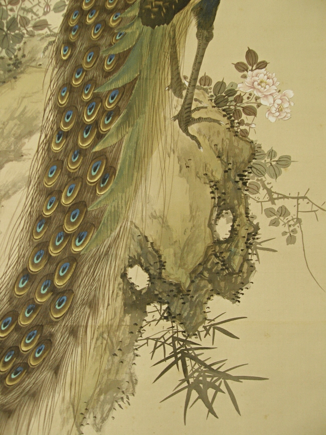 Peacock