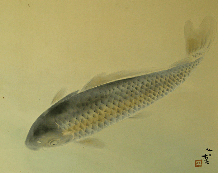 Koi Fish