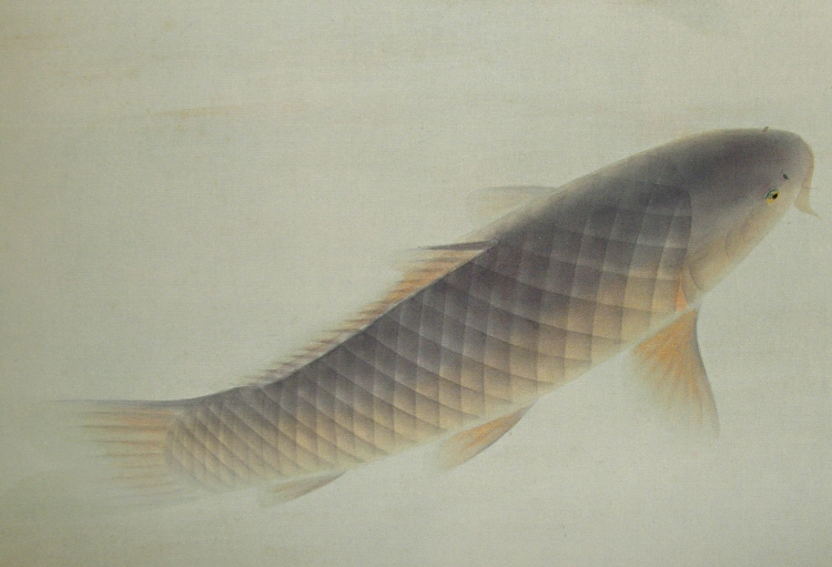 Koi Fish