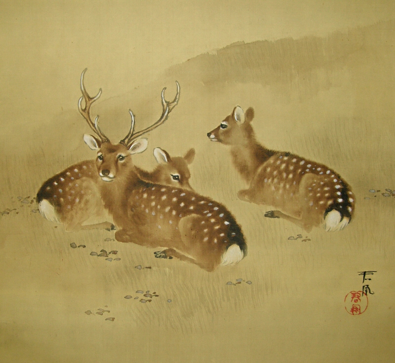 Deer (Shika)