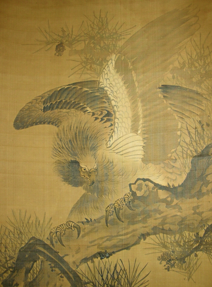 Hawk (Taka)