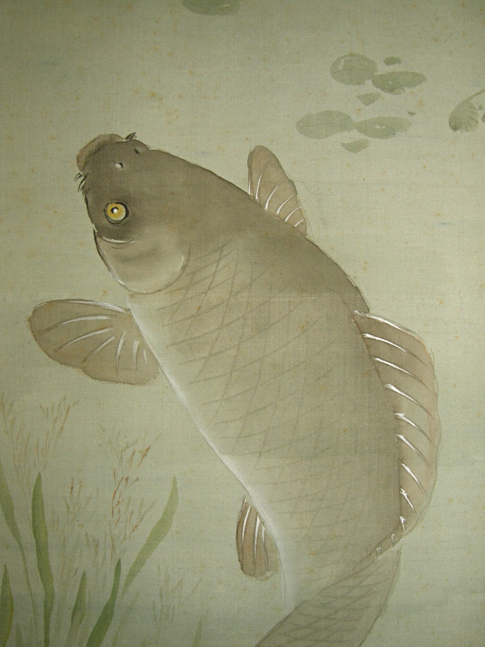 Koi Fish