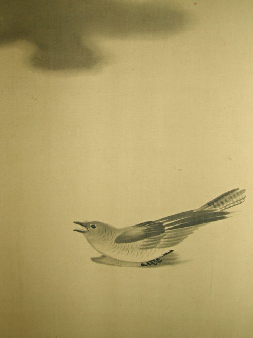 Hototogisu Bird