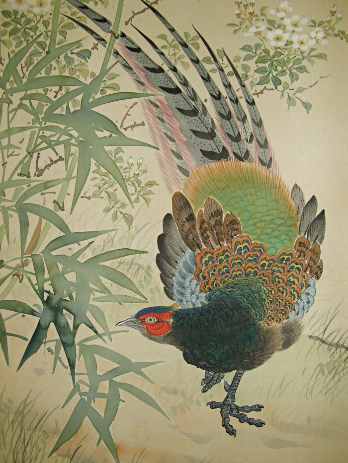 Kiji Bird (Pheasant)