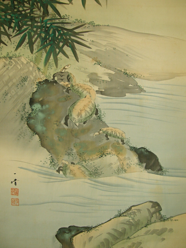 Turtle, Bamboo